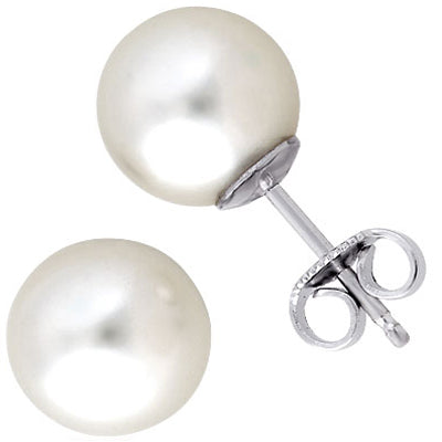 14 Karat White Stud Pearl Earrings